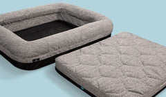 BedGear Performance Pet Bed, XL