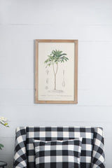 Tree Framed Print Set of 2 - Multicolor Botanical Wall Art