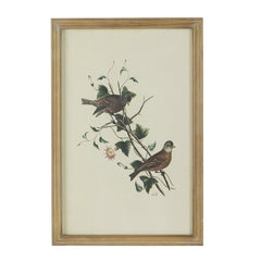 Set of 4 Bird Framed Prints