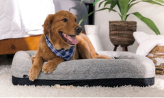 BedGear Performance Pet Bed, Small