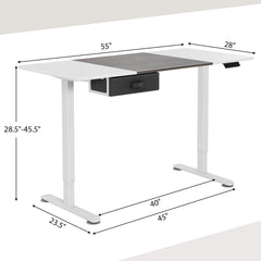 Height Adjustable Electric Standing Desk with USB Charging Port
