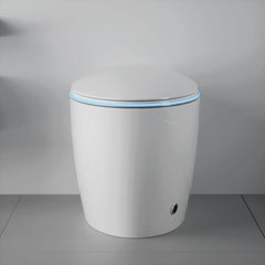 Nuvia Smart One-Piece Toilet With Bidet, Foot Sensor, LED Display And Dryer (SAK80112)