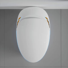 Nuvia Smart One-Piece Toilet With Bidet, Foot Sensor, LED Display And Dryer (SAK80112)