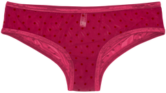 Polka Dot Mesh Bikini with Satin Trim