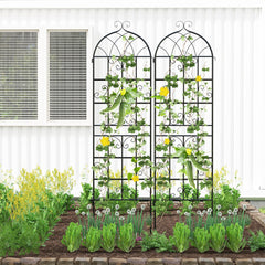 2 Pack 71" x 20" Metal Garden Trellis for Outdoor Climbing Plants