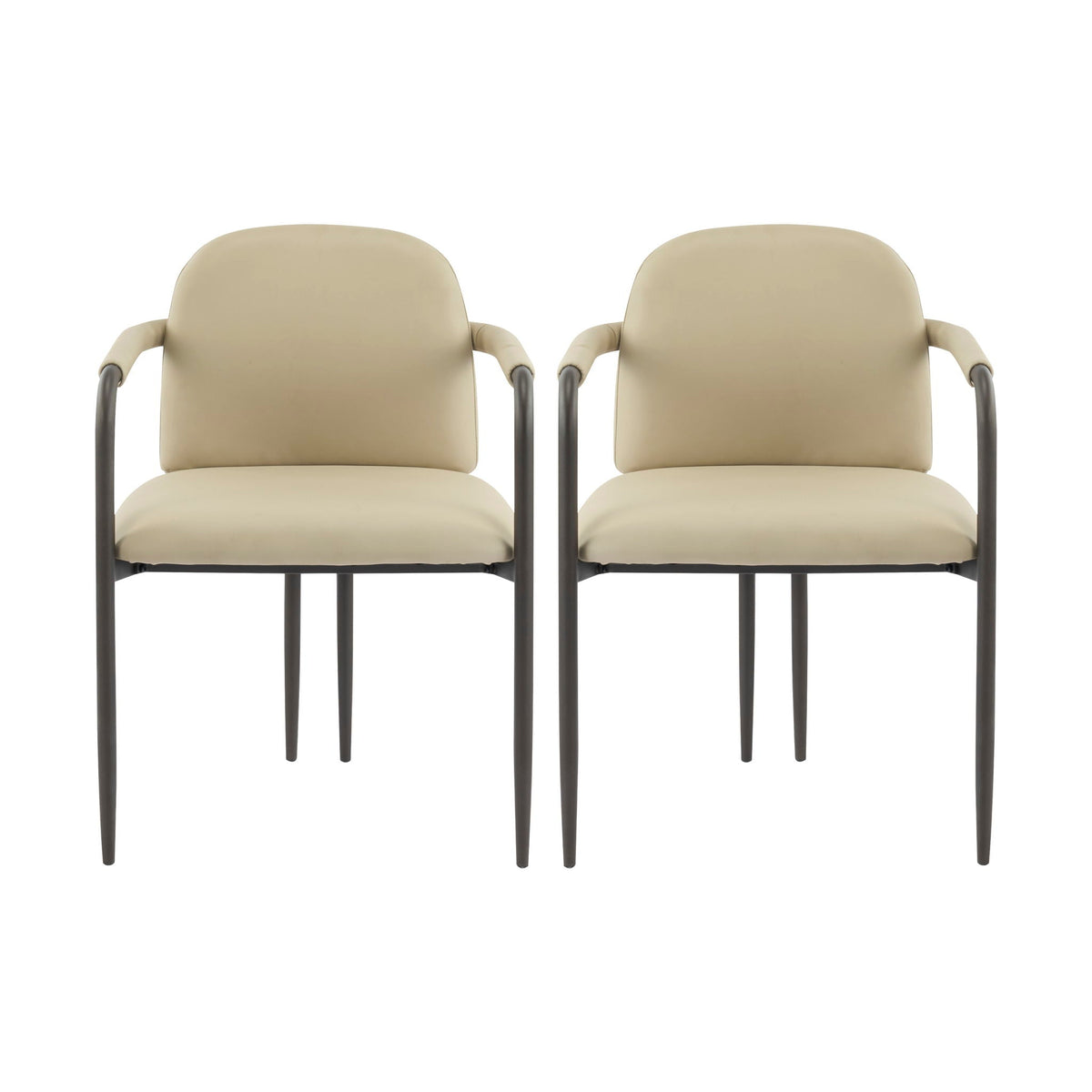 Modern Dining Chair (Set of 2) With Iron Frame - Espresso / Khaki