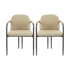Modern Dining Chair (Set of 2) With Iron Frame - Espresso / Khaki