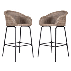 Ladd Outdoor Metal Wicker Barstool Set of 2