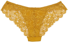 Perfectly Sexy Lace and Microfiber Cheeky