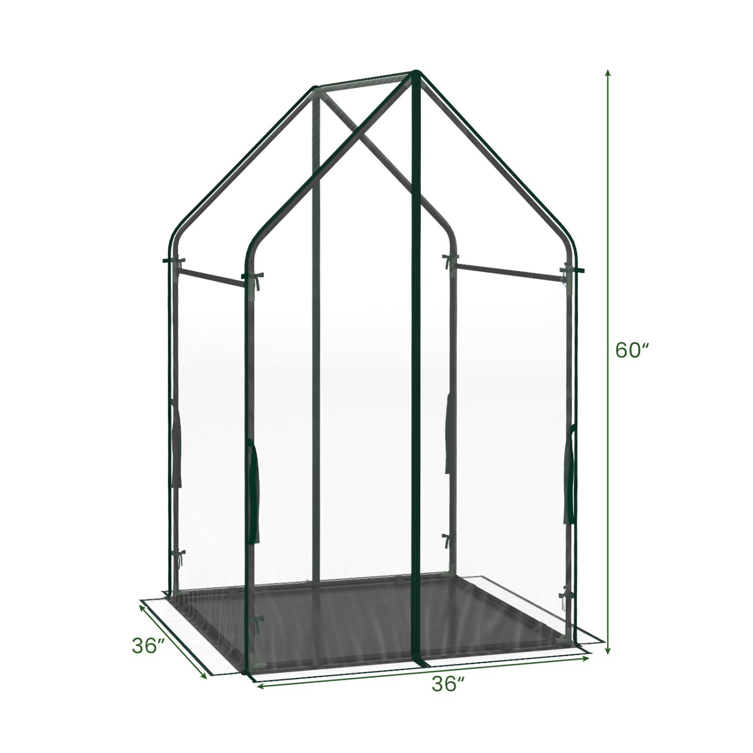 Mini Green House Metal Frame with Waterproof Bottom Mat and Wind Ropes