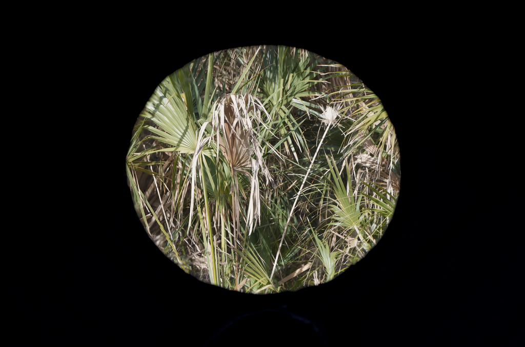 Dome Sauna Tent (8-person; tent only)