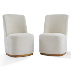 Modern Indoor Dining Chair Set of 2