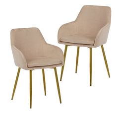 Dining Chair Set For Dining Rooms (Set of 2) - Beige