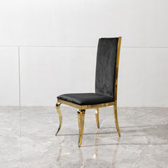 Dining Chair (Set of 2) With Unique Backrest Stainless Steel Legs - Gold