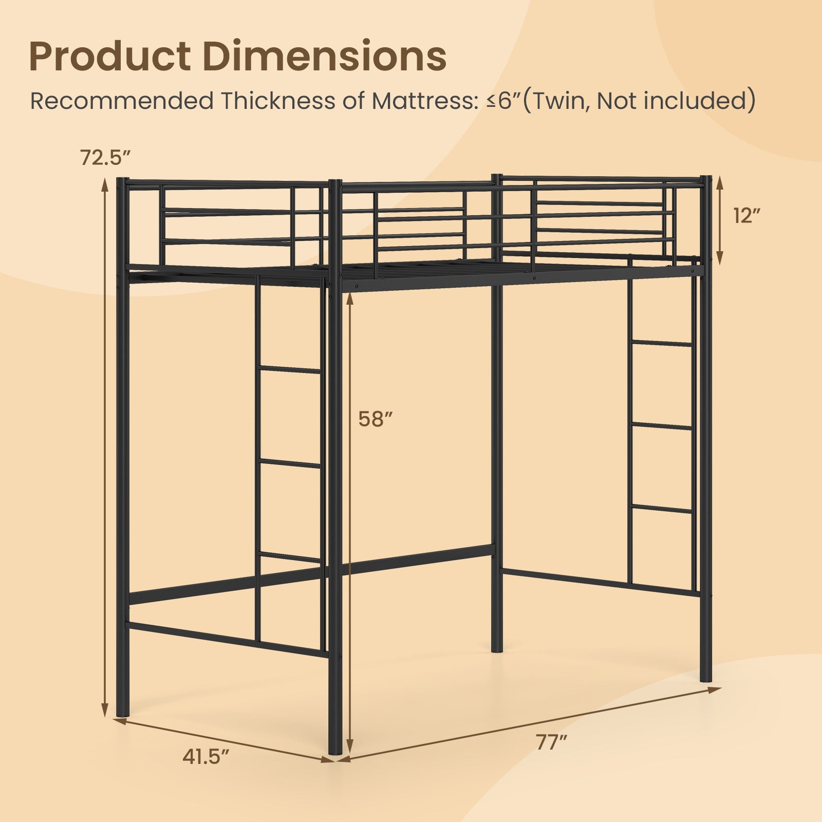 Twin Loft Bed Frame with 2 Ladders Full-length Guardrail -Black