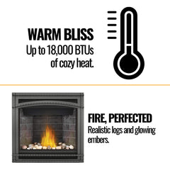 Napoleon Ascent 36 Direct Vent Millivolt Ignition Natural Gas Fireplace, 35" [B36NTR-1] (SAK85316)