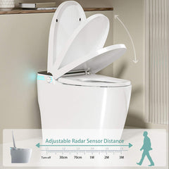 Smart Auto Dual Flush Tankless Toilet With Heated Bidet, Auto Open And Close (SAK37415)
