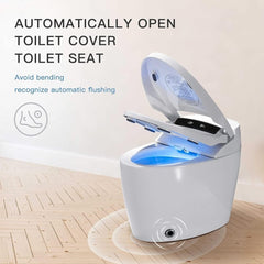 Alora Premium Automatic Single-Piece Home Smart Toilet With Bidet, Foot Sensor And Heated Seat (SAK96152)