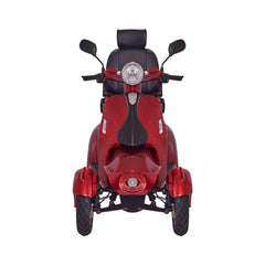 Zvg Premium 4-Wheel Electric Motorized Adults Travel Mobility Scooter For Adults, 800W (SAK94712)